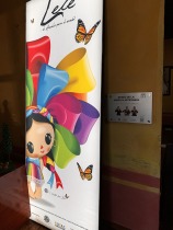 catrinas-chile-amealco-8111