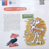 catrinas-mexicanas-condorito-mx-8630