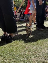 catrinas-cl-dia-de-muertos-2025-3307