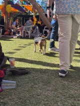 catrinas-cl-dia-de-muertos-2025-3314