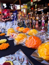 catrinas-cl-dia-de-muertos-2025-8