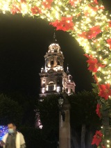 catrinas-mexicanas-morelia-navidad-8969