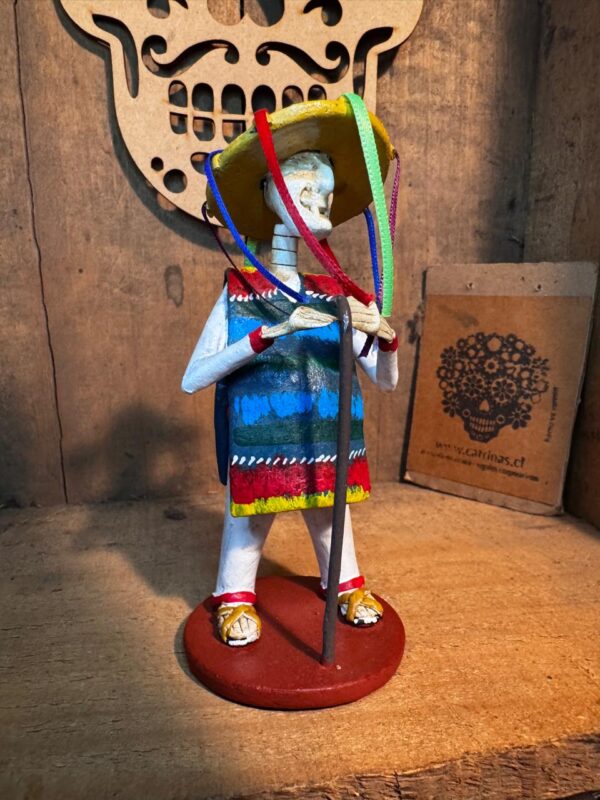 Catrin Mexicano Baile Viejito - Imagen 6